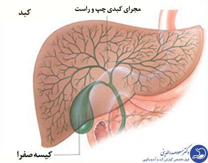 صفرا